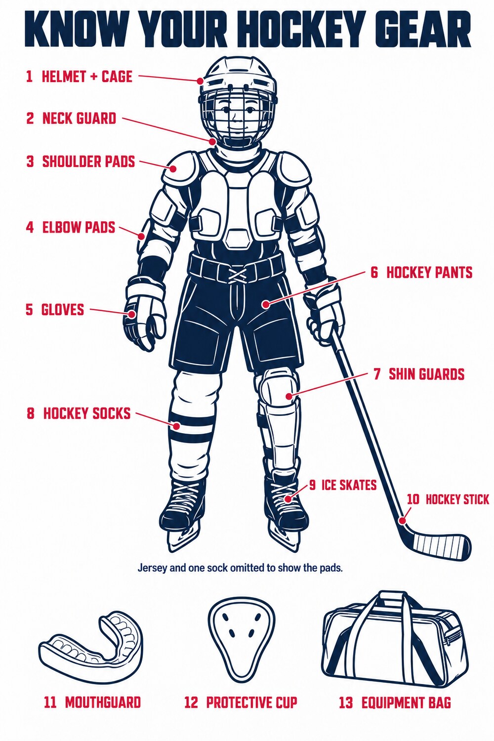 A young hockey player in full equipment with every piece numbered: 1 helmet and cage, 2 neck guard, 3 shoulder pads, 4 elbow pads, 5 gloves, 6 hockey pants, 7 shin guards, 8 hockey socks, 9 ice skates, 10 hockey stick, and below, 11 mouthguard, 12 protective cup, 13 equipment bag.